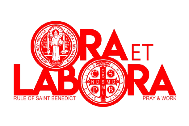 IT support coordination